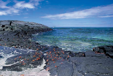  Islas Galápagos